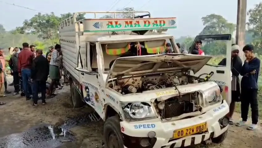 ଜାତୀୟ-ରାଜପଥ-ଛାଡ଼ି-ଏବେ-ଗାଁ-ରାସ୍ତା-ବାଛୁଛନ୍ତି-ଗୋ-ମାଫିଆ