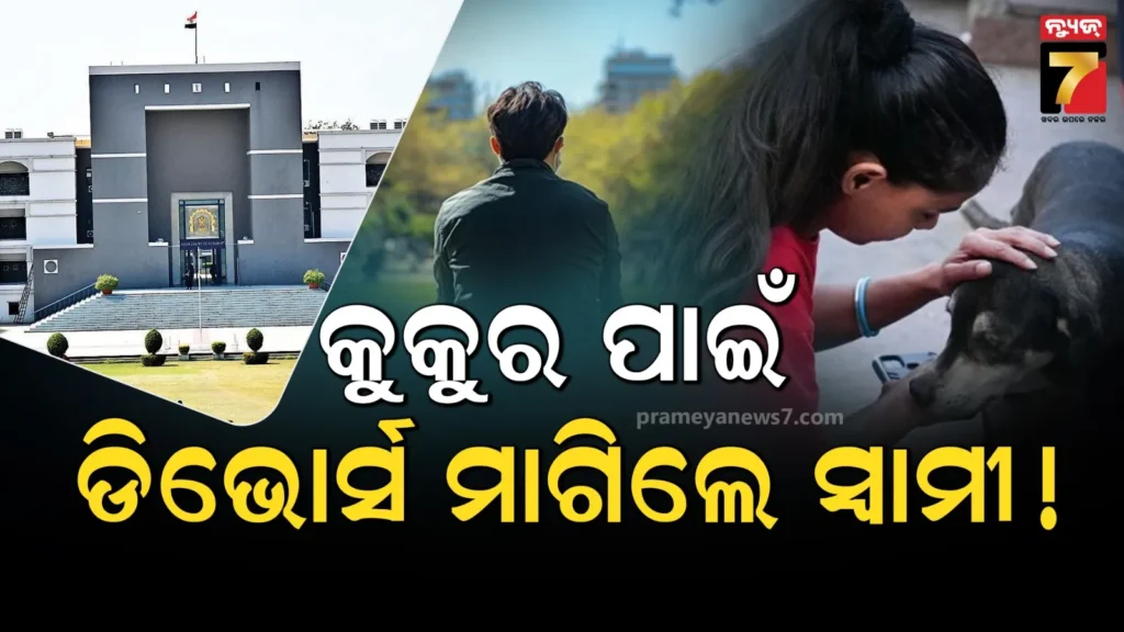 ସ୍ତ୍ରୀଙ୍କ-କୁକୁର-ପ୍ରେମ-ପାଇଁ-ଯନ୍ତ୍ରଣା-ଭୋଗୁଛନ୍ତି-ସ୍ୱାମୀ-!-ଛାଡ଼ପତ୍ର-ପାଇଁ-ହାଇକୋର୍ଟରେ-ହେଲେ-ଦାରସ୍ଥ
