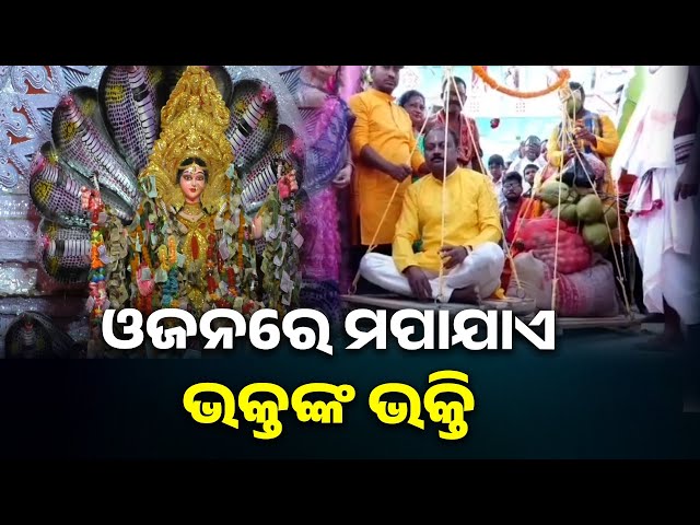 ସର୍ପର-ଦେବୀ-ନାଗମାତା-ମା’-ମନସା,-ମାନସିକ-ପୂରଣ-ହେଲେ-ନିଜ-ଓଜନର-ଭୋଗ-ଲଗାନ୍ତି-ଭକ୍ତ-||-knews-odisha