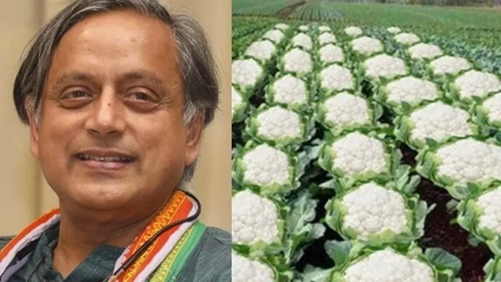 ଆସାମ-ବିଜେପି-ମନ୍ତ୍ରୀଙ୍କ-‘କୋବି-ଚାଷ’-ପୋଷ୍ଟର-ଜବାବ-ରଖିଲେ-ଶଶି-ଥରୁର,-ଜାଣନ୍ତୁ-କହିଲେ-କ’ଣ?