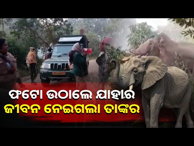 ଦୁଃସାହସିକ-ଭାବେ-ଫଟୋ-ଉଠାଇ-ନିଜକୁ-ମରଣ-ମୁହଁକୁ-ଠେଲି-ଦେଲେ-ଯୁବକ-||knews-odisha