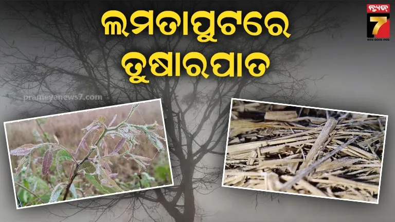 ଜାଡରେ-ଥରୁଛି-ପାହାଡିଆ-ଅଞ୍ଚଳ,-୪-ଡିଗ୍ରୀକୁ-ଖସିଲା-ପାରଦ:-ବିଭିନ୍ନ-ଜାଗାରେ-ପ୍ରଥମ-ତୁଷାର-ପାତ
