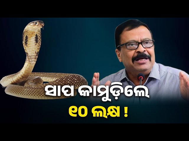 ସାପ-କାମୁଡ଼ିଲେ-୧୦-ଲକ୍ଷ-||-knews-odisha