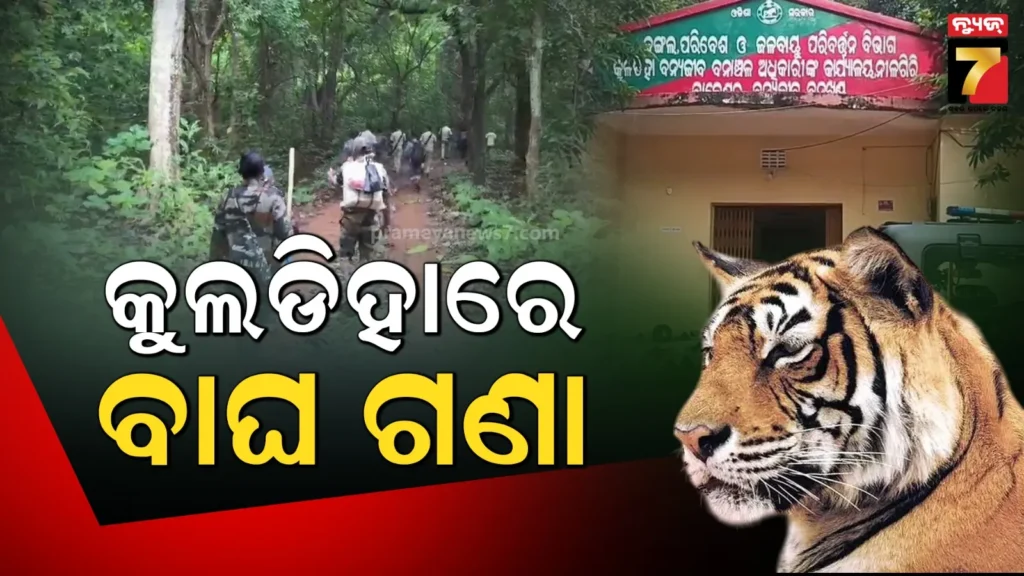 କୁଲଡିହା-ଅଭୟାରଣ୍ୟରେ-ବାଘ-ଗଣନା-ଆରମ୍ଭ,-ବାଘର-ପାଦ-ଚିହ୍ନ-ଦେଖି-କରାଯିବ-ଗଣତି