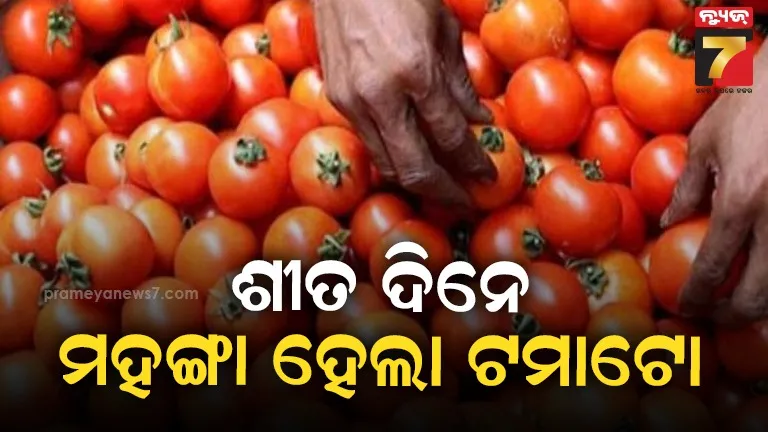 ପୁଣି-ଲାଲ-ହେଲା-ଟମାଟର!-୮୦-ଟଙ୍କାକୁ-ପହଞ୍ଚିଲା-କେଜି-ପିଛା-ଦର