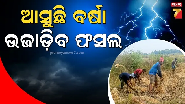 ଆସୁଛି-ବଡ଼-ବର୍ଷା,-୨୪-ଘଣ୍ଟା-ମଧ୍ୟରେ-ବଙ୍ଗୋପସାଗରରେ-ସୃଷ୍ଟି-ହୋଇପାରେ-ଲଘୁଚାପ