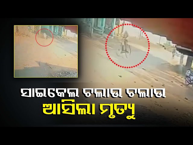 ଏମିତି-ବି-ଆସେ-ମୃତ୍ୟୁ,-ହଠାତ-ସାଇକେଲରୁ-ଖସି-ପଡି-ମୃତ୍ୟୁବରଣ-କଲେ-ବ୍ୟକ୍ତି-||-knews-odisha