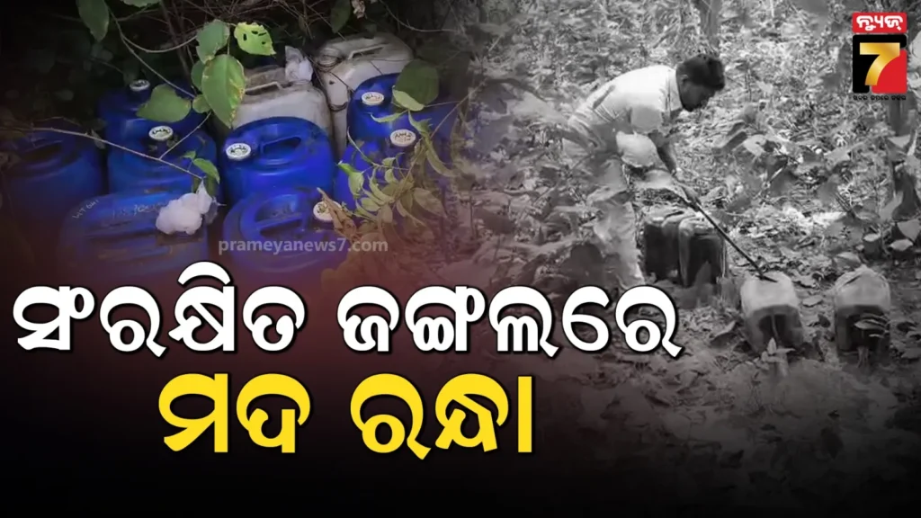 ଗାଁ-ଜଙ୍ଗଲରେ-ଚାଲିଥିଲା-ମଦ-ରନ୍ଧା,-ଚଢାଉ-କରି-ଦେଶୀ-ମଦ-ପୋଚ-ନଷ୍ଟକଲେ-ଅବକାରୀ-ଓ-ବନ-ବିଭାଗ