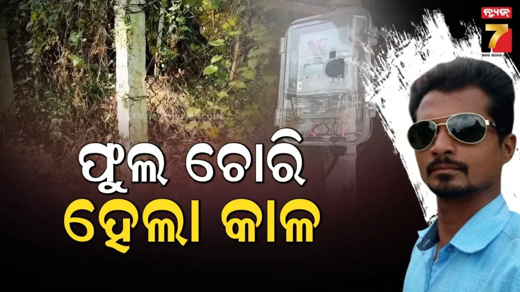 ଫୁଲ-ତୋଳିବାକୁ-ଅନ୍ୟ-ଜଣଙ୍କ-ବାଡ଼ିରେ-ପଶିଥିଲେ,-ବିଦ୍ୟୁତ-ଆଘାତରେ-ଚାଲିଗଲା-ଜୀବନ-!