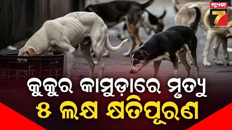 କୁକୁର-କାମୁଡ଼ାରେ-ଜୀବନ-ଗଲେ-୫-ଲକ୍ଷ-କ୍ଷତିପୂରଣ,-ଗୁରୁତର-ପୀଡ଼ିତଙ୍କୁ-ମିଳିବ-୫-ହଜାର