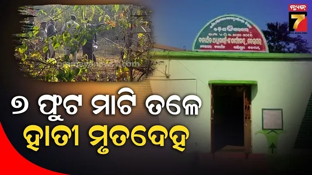 ବେଲଘର-ହାତୀ-ମୃତ୍ୟୁ-ଘଟଣା,-ନିଲମ୍ୱିତ-ରେଞ୍ଜରଙ୍କ-ଗାଁ-ନିକଟରୁ-ମିଳିଲା-ମୃତଦେହ