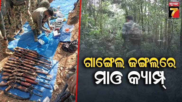 ଗାଙ୍ଗେଲ-ଜଙ୍ଗଲରେ-କମ୍ବିଂ-ଜୋରଦାର,-ବିପୁଳ-ପରିମାଣର-ମାଓ-ସାମଗ୍ରୀ-ଜବତ