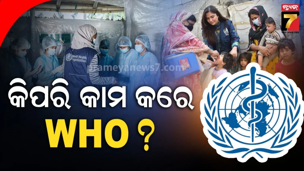 who-କେବେ-ପ୍ରତିଷ୍ଠା-ହେଲା-ଓ-କେତେ-ସଦସ୍ୟ-କରନ୍ତି-କାମ-;-ଜାଣନ୍ତୁ-ଏହାର-ପୂରା-ବିବରଣୀ