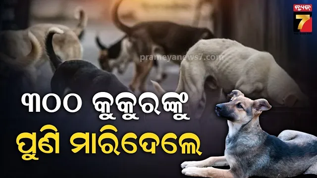 ତେଲେଙ୍ଗାନାରେ-ଥମୁନି-ପଶୁ-ନରସଂହାର,-ବଡ଼-ଗାତ-ତଳୁ-ମିଳିଲା-୩-ଶହ-କୁକୁରଙ୍କ-ମୃତଦେହ