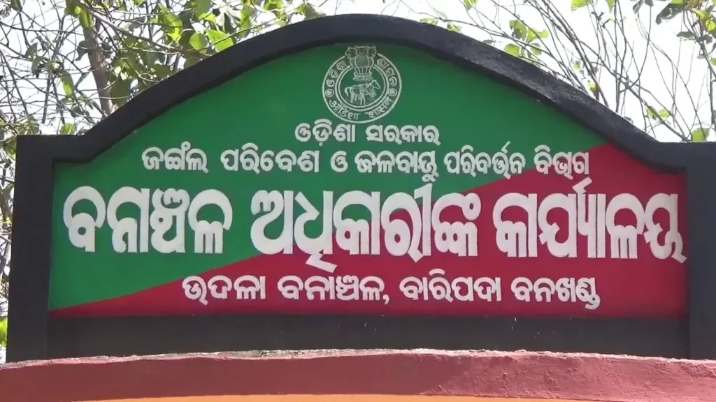 ବିଲକୁ-କାଠ-ଆଣିବାକୁ-ଯାଇଥିଲେ-ଯୁବତୀ,-ଅଚାନକ-ଆକ୍ରମଣ-କଲା-ଭାଲୁ