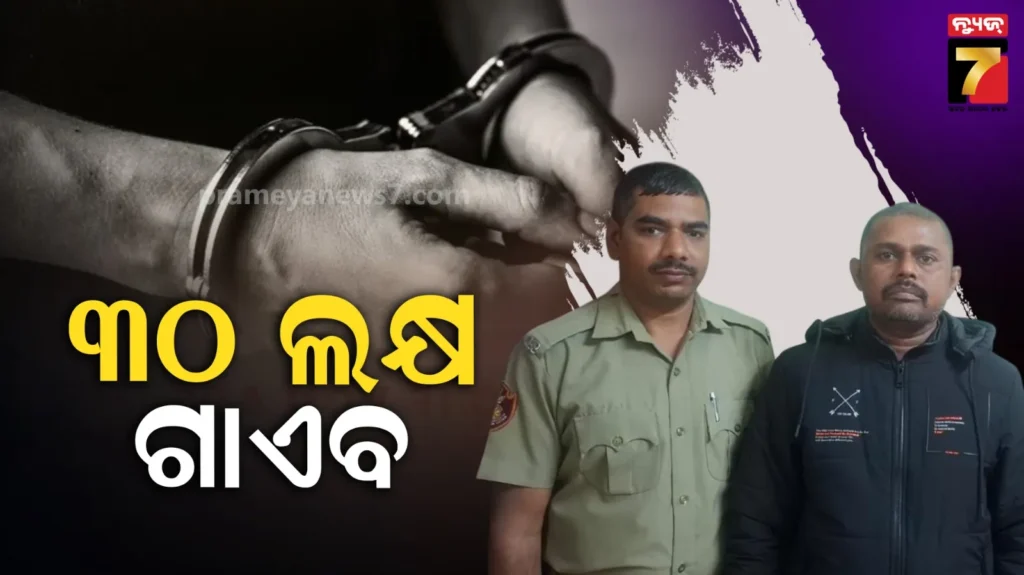 ରାଜଧାନୀରେ-ପୁଣି-ଜଣେ-ମହିଳାଙ୍କୁ-ଡିଜିଟାଲ-ଆରେଷ୍ଟ,-ଆକାଉଣ୍ଟରୁ-ନେଇଗଲେ-୩୦-ଲକ୍ଷ-ଟଙ୍କା…