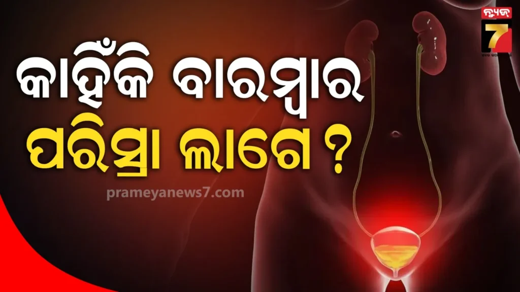 ନା-ଡାଇବେଟିସ୍-,-ନା-କୌଣସି-ଇନ୍‌ଫେକ୍ସନ୍‌-;-ତଥାପି-କିଛି-ଲୋକଙ୍କୁ-କାହିଁକି-ଲାଗେ-ବାରମ୍ବାର-ପରିସ୍ରା-?