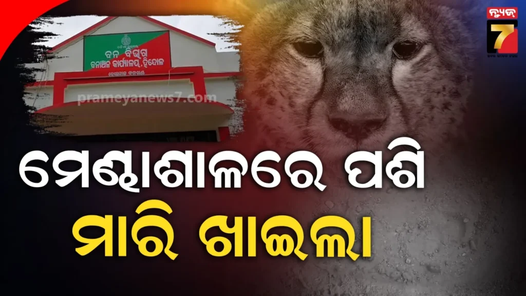 ଅଧରାତିରେ-ଗାଁରେ-ପଶିଲା,-ମେଣ୍ଢା-ମାରି-ଖାଇଲା-;-ଏବେ-ଛାନିଆ-ଗ୍ରାମବାସୀ