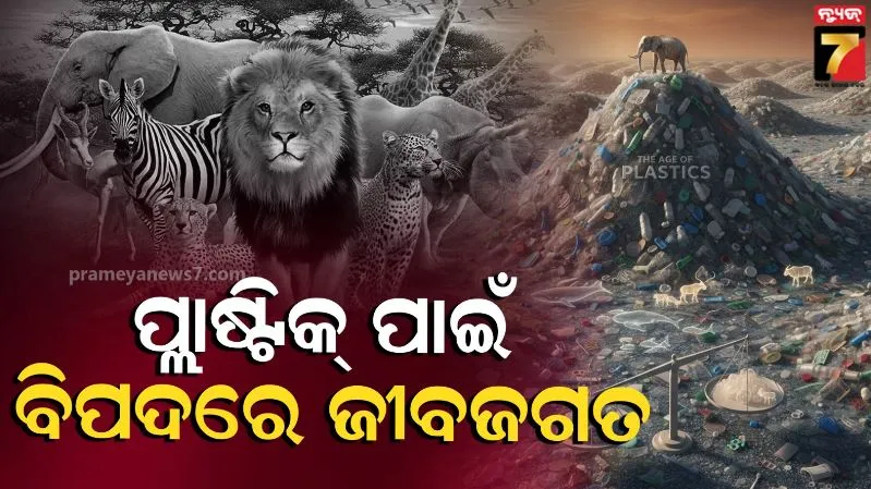plastic-pollution:-ପୃଥିବୀର-ସମସ୍ତ-ପ୍ରାଣୀର-ଓଜନ-ଠାରୁ-ବି-ଅଧିକ-ହେଲାଣି-ପ୍ଲାଷ୍ଟିକ୍;-ଆକାଶ,-ପାଣି,-ପବନ-ସବୁ-ପ୍ରଦୂଷିତ