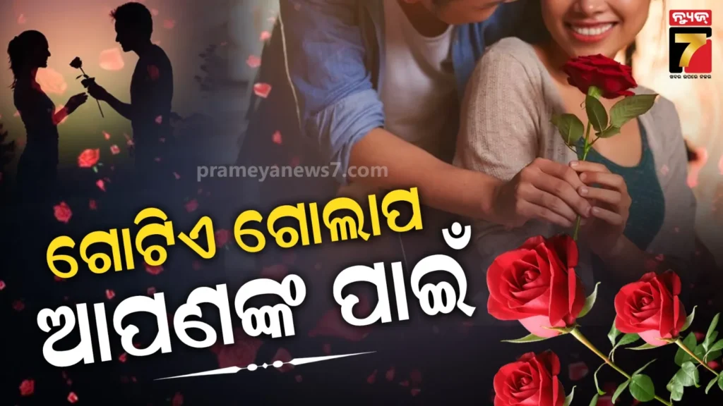 happy-rose-day;-ଗୋଲାପ-ଟିଏ-ଦେଇ-ପ୍ରେମ-ବାଣ୍ଟିବା,-ଆଜିଠୁ-ଆରମ୍ଭ-ପ୍ରେମର-ସପ୍ତାହ