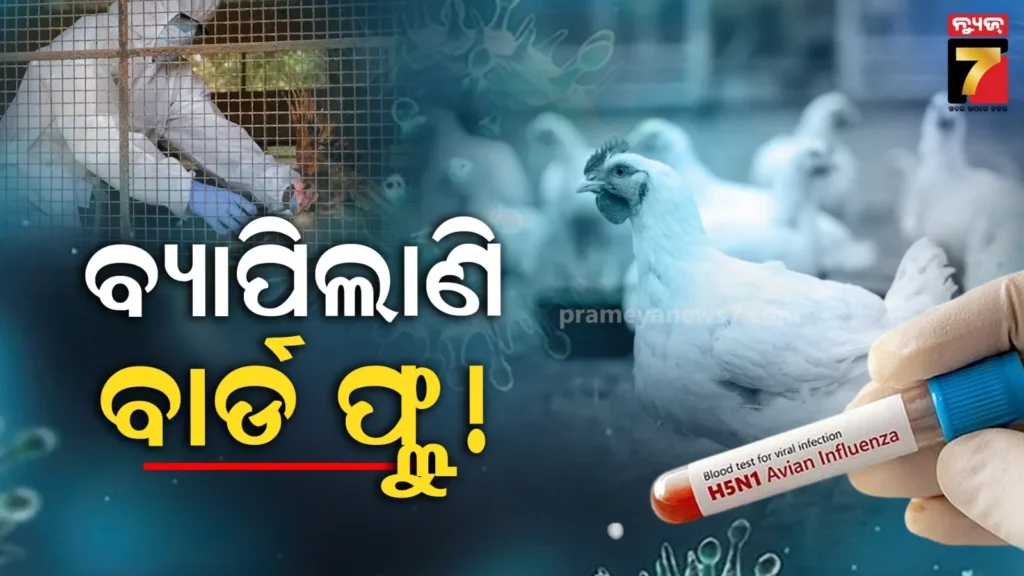 ଏହି-ରାଜ୍ୟରେ-ବାର୍ଡ-ଫ୍ଲୁ’-ଆତଙ୍କ-:-୧୫୦୦-କାଉ-ମରିବା-ପରେ-ପ୍ରଶାସନ-ଆକ୍ଟିଭ୍,-ଲ୍ୟାବ୍-ରିପୋର୍ଟ-ବଢାଇଲା-ଚିନ୍ତା