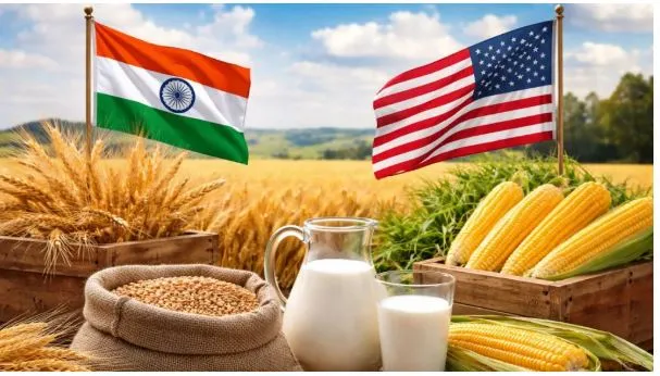 india-us-interim-trade-deal:-ଗହମ-ଓ-ମକା-ଠାରୁ-ଆରମ୍ଭ-କରି-କ୍ଷୀର-ପର୍ଯ୍ୟନ୍ତ-ମୁଖ୍ୟ-କୃଷି-ଉତ୍ପାଦ-ସମ୍ପୂର୍ଣ୍ଣ-ସୁରକ୍ଷିତ:-ବାଣିଜ୍ୟ-ସଚିବ
