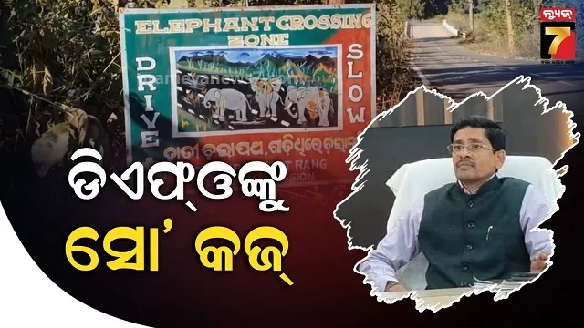 ବେଲଘର-ହାତୀ-ମୃତ୍ୟୁ-ଘଟଣା,-ବଢିଲା-ବାଲିଗୁଡା-ଡିଏଫ୍‌ଓ