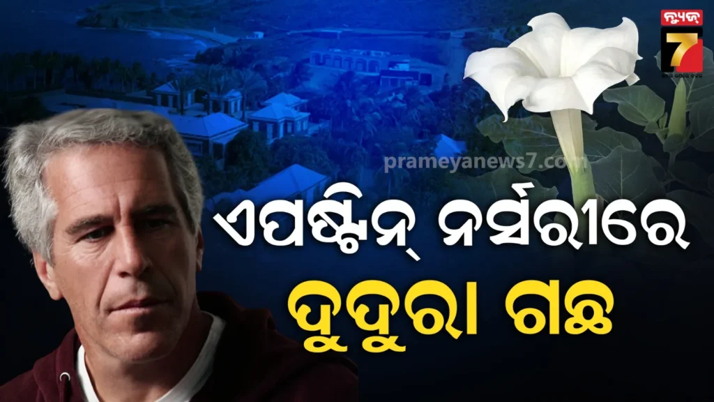 ଏପ୍‌ଷ୍ଟିନ-ଫାଇଲ୍‌ରେ-ବଡ-ଖୁଲାସା,-ନିଶା-ଦେବାକୁ-ନର୍ସରୀରେ-ଲଗାଇଥିଲା-ଦୁଦୁରା-ଗଛ