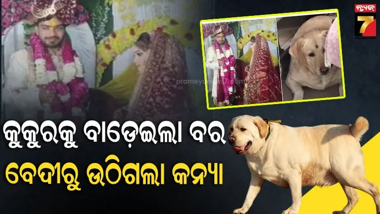 ପୋଷ-କୁକୁର-ପାଇଁ-ଭାଙ୍ଗିଗଲା-ବାହାଘର,-ମଣ୍ଡପରୁ-ଫେରିଗଲେ-ଦୁଇ-ପକ୍ଷ