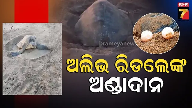ଭୋଗରାଇ-ତାଳସାରିରେ-କି-ମନୋରମ-ଦୃଶ୍ୟ,-ସଂଗ୍ରହ-ହେଲାଣି-୧୫-ରୁ-୨୦୧୫-ଅଣ୍ଡା