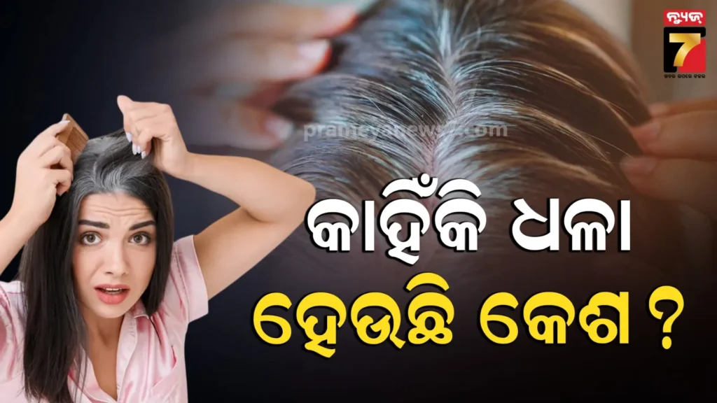 କେଉଁ-ଭିଟାମିନର-ଅଭାବରୁ-ଧଳା-ହୁଏ-କେଶ,-ଜାଣନ୍ତୁ-ଏଥିପାଇଁ-କ’ଣ-ଖାଇବା-ଉଚିତ୍‌
