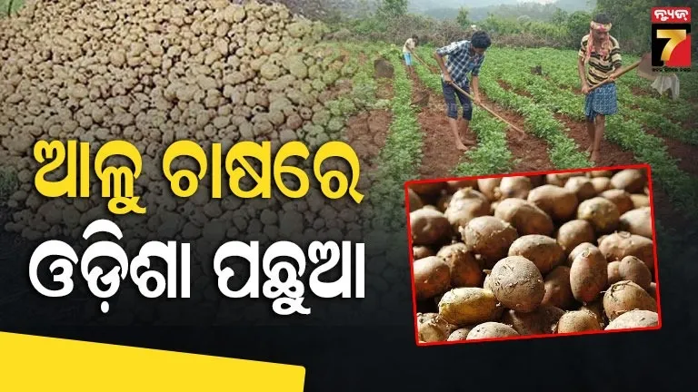 ରାଜ୍ୟବାସୀଙ୍କ-ଆଳୁ-ଚାହିଦା-ମେଣ୍ଟାଇବାରେ-୯୦-ପ୍ରତିଶତ-ବିଫଳ-ସରକାର,-ଗୃହରେ-ରିପୋର୍ଟ-ରଖିଲେ-ମନ୍ତ୍ରୀ