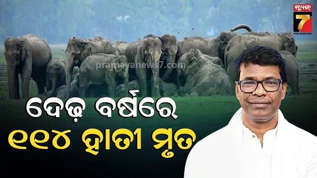 ଚିନ୍ତା-ବଢାଇଛି-ରାଜ୍ୟରେ-ହାତୀ-ମୃତ୍ୟୁ,-ବିଧାନସଭାରେ-ମନ୍ତ୍ରୀ-ଦେଲେ-ସ୍ପଷ୍ଟ-ସୂଚନା