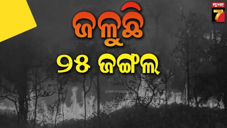 ହୁତୁ-ହୁତୁ-ହୋଇ-ଜଳୁଛି-ଜଙ୍ଗଲ,-୨୫-ଜଙ୍ଗଲରେ-ଲାଗିଛି-ବଡ଼-ଆକାରର-ନିଆଁ