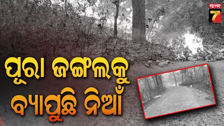 ହୁତୁ-ହୁତୁ-ହୋଇ-ଜଳୁଛି-ସଂରକ୍ଷିତ-ଜଙ୍ଗଲ,-ଗୋଟିଏରୁ-ଆଉ-ଗୋଟିଏକୁ-ନିଆଁ-ବ୍ୟାପୁଛି
