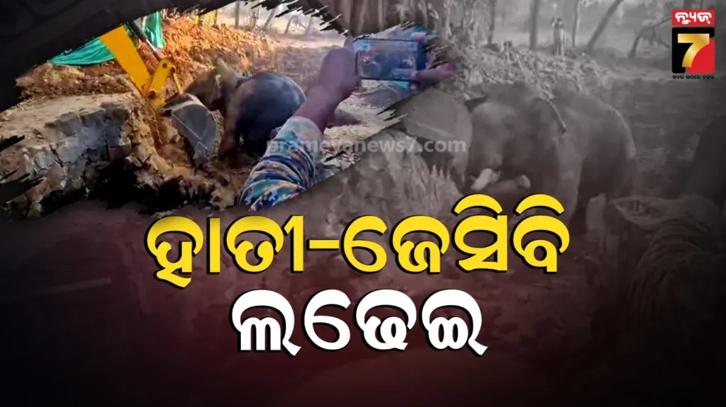 କୂଅରେ-ପଡ଼ିଥିଲା-ହାତୀ,-ଦୀର୍ଘ-ସମୟରେ-ଅକ୍ଲାନ୍ତ-ପରିଶ୍ରମ-ପରେ-ଉଦ୍ଧାର