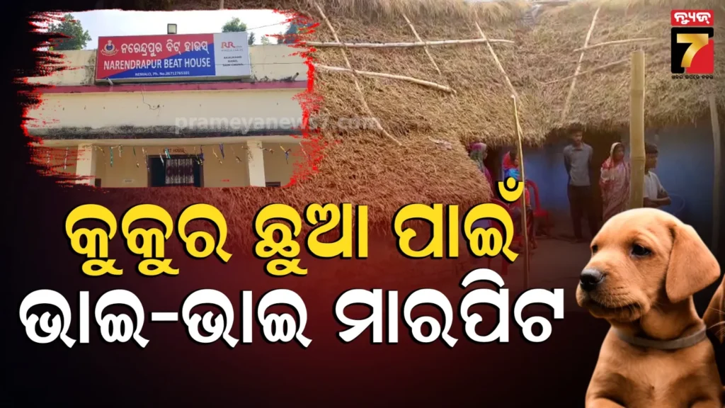 କୁକୁର-ଛୁଆକୁ-ମାଡ଼-ବେଳେ-ପ୍ରତିବାଦ-କରି-ଝିଆରୀ-ଆକ୍ରମଣର-ଶୀକାର,-ବଡ଼-ଭାଇର-ତେଣ୍ଟା-ମାଡ଼ରେ-ସାନ-ଭାଇ-ଗୁରୁତର