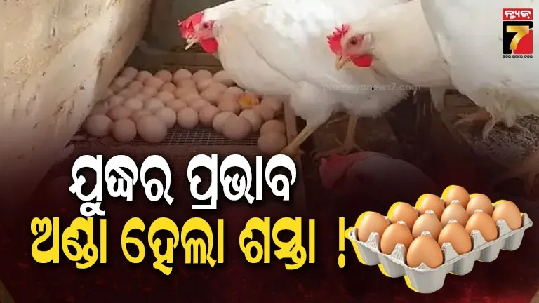 ମଧ୍ୟପ୍ରାଚ୍ୟରେ-ଯୁଦ୍ଧ-ଯୋଗୁ-କମିଲା-ଅଣ୍ଡାର-ଦାମ୍,-ଚିନ୍ତାରେ-ବ୍ୟବସାୟୀ