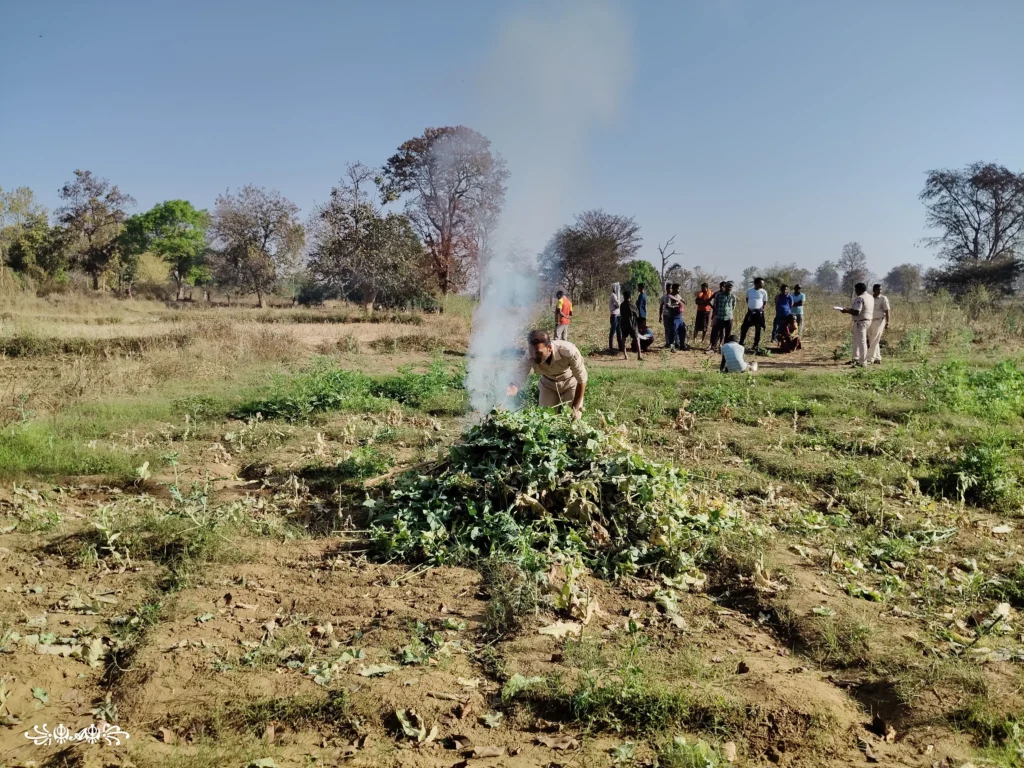 ବେଆଇନ-ଅଫିମ-ଚାଷରେ-କେବେ-ଲାଗିବ-ବ୍ରେକ୍-?-୨୦ହଜାର-ଅଫିମ-ଗଛ-ନଷ୍ଟ,-୧୦କୋଟିରୁ-ଅଧିକ-ଟଙ୍କାର-ଅଫିମ-ଫୁଲ-ଜବତ