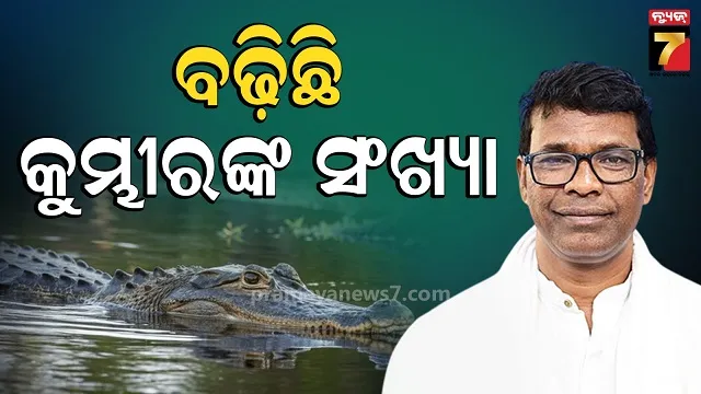 ବିଧାନସଭାରେ-ଲିଖିତ-ଉତ୍ତର-ରଖିଲେ-ମନ୍ତ୍ରୀ,-ଗତବର୍ଷ-ତୁଳନାରେ-ବଢିଛି-କୁମ୍ଭୀରଙ୍କ-ସଂଖ୍ୟା