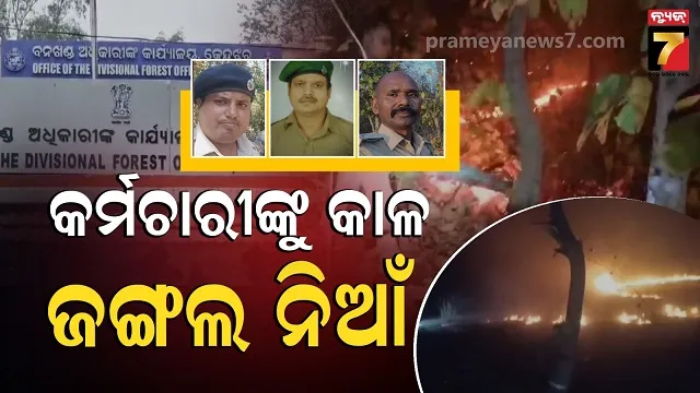 ମହଙ୍ଗା-ପଡିଲା-କାର୍ଯ୍ୟରେ-ଅବହେଳା,-ଜଙ୍ଗଲ-ନିଆଁରେ-ଜଳିଗଲା-୩-ବନ-କର୍ମଚାରୀଙ୍କ-ଚାକିରୀ