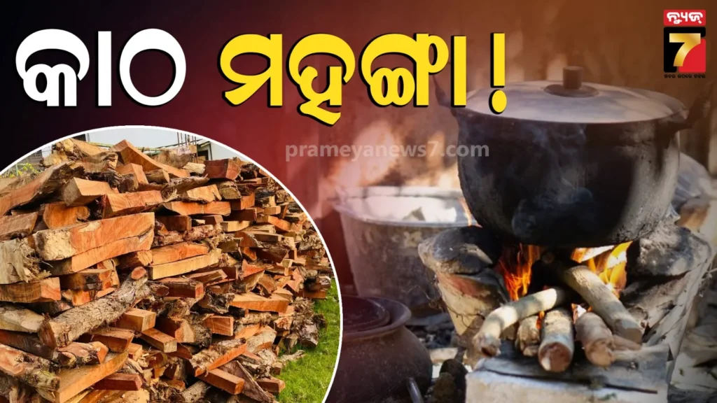 ଲୋକଙ୍କୁ-ଏବେ-ଜାଳେଣି-ଭାଳେଣି,-ରାଜଧାନୀରେ-କାଠ-ମହଙ୍ଗା,-କିଣିବାକୁ-ଲାଗିଛି-ଲୋକଙ୍କ-ଭିଡ଼