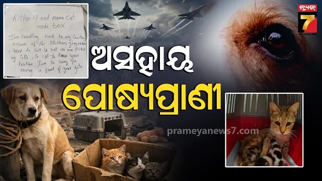ମଧ୍ୟପ୍ରାଚ୍ୟ-ସଂଘର୍ଷ-ଭିତରେ-ୟୁଏଇ-ଛାଡୁଛନ୍ତି-ଲୋକେ,-ହେଲେ-ଛାଡିଯାଉଛନ୍ତି-ନୀରିହ-ପ୍ରାଣୀ