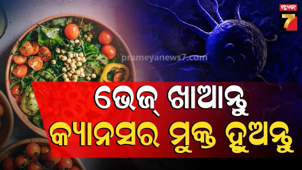 ଅକ୍ସଫୋର୍ଡ-ୟୁନିଭର୍ସିଟିର-ବଡ଼-ଖୁଲାସା-;-ଭେଜିଟେରିଆନ-ଡାଏଟ୍-ଆପଣାଇଲେ-କମ୍‌-ହୋଇଯିବ-୫-ପ୍ରକାରର-କର୍କଟ-ରୋଗର-ଆଶଙ୍କା