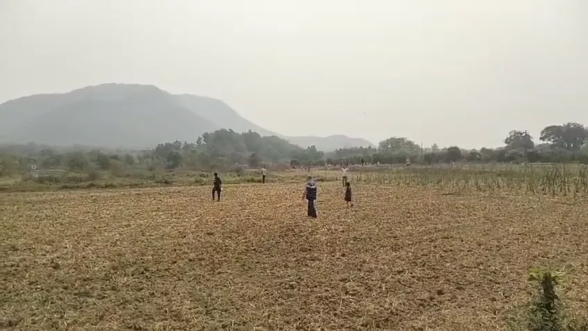ଚାରିଦିନ-ହେଲା-ଉପଦ୍ରବ-କରୁଥିଲା,-ମକା-କିଆରୀରୁ-ମିଳିଲା-ମୃତଦେହ