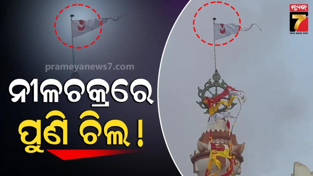ଆସୁଛି-କି-ବଡ଼-ବିପଦ-?-କି-ସଙ୍କେତ-ଦେଉଛି-ନୀଳଚକ୍ର-ଉପରେ-ବାରମ୍ବାର-ଚିଲ