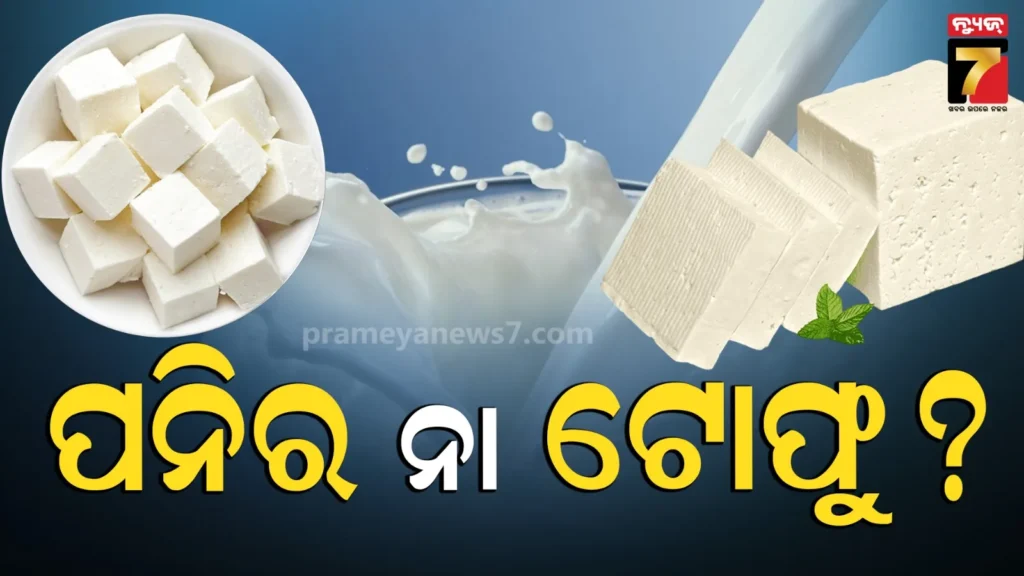 କେଉଁଥିରେ-ରହିଛି-ଅଧିକ-ପ୍ରୋଟିନ୍-?-ଜାଣନ୍ତୁ-ଓଜନ-କମାଇବାକୁ-କେଉଁଟି-ବେଷ୍ଟ