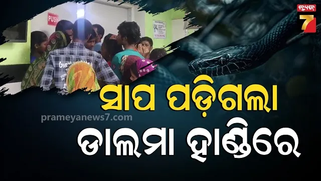 ଚାଲିଥିଲା-ଭାଗବତ-ସପ୍ତାହ,-ପ୍ରସାଦ-ଭିତରେ-ପଡିଗଲା-ବିଷାକ୍ତ-ଜନ୍ତୁ
