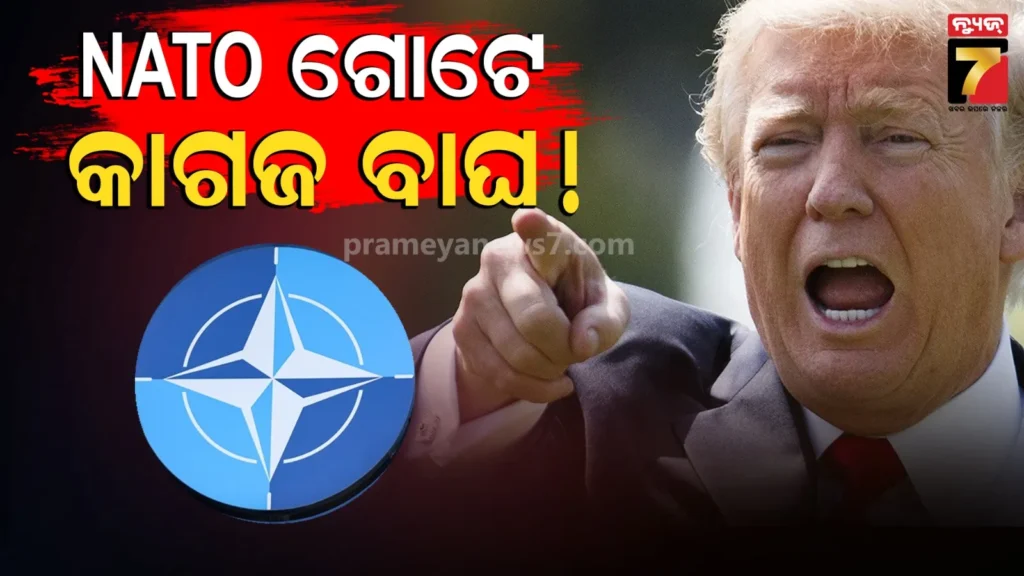 nato-ଉପରେ-ବର୍ଷିଲେ-ଟ୍ରମ୍ପ,-କହିଲେ-ଆମେରିକା-ବିନା-ତୁମେ-‘କାଗଜ-ବାଘ’