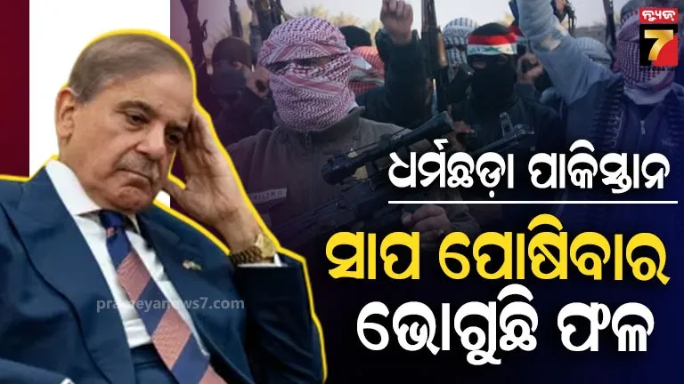 global-terrorism-index:-କର୍ମଫଳ-ଭୋଗୁଛି-ପାକିସ୍ତାନ,-ସାପଙ୍କୁ-ପୋଷି-ଚୋଟ-ଖାଉଛି
